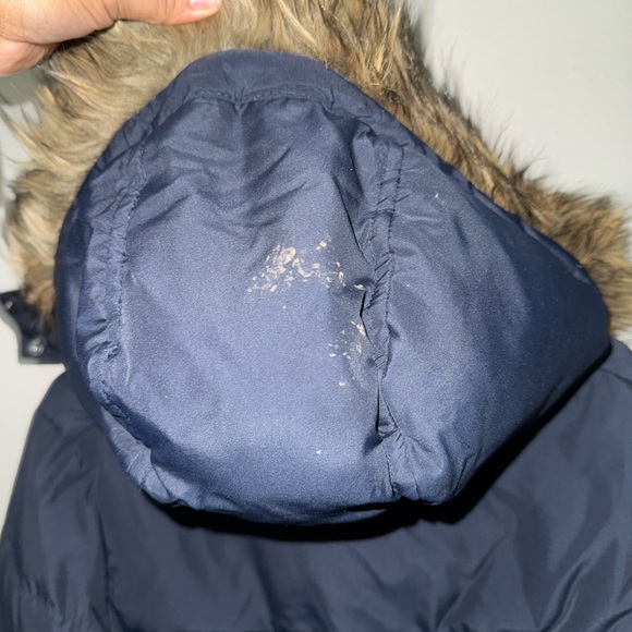 Hollister parka - Picture 6 of 7